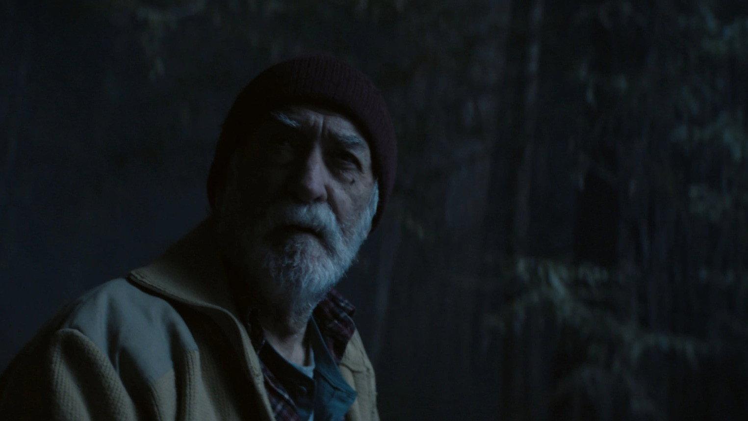 Where the pines lament 2024 movie scene