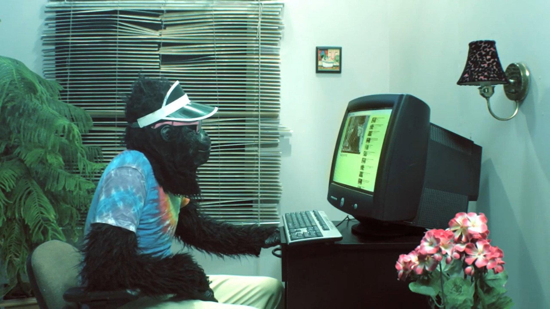 Peter's Computer - Gorilla Video 2014 movie scene