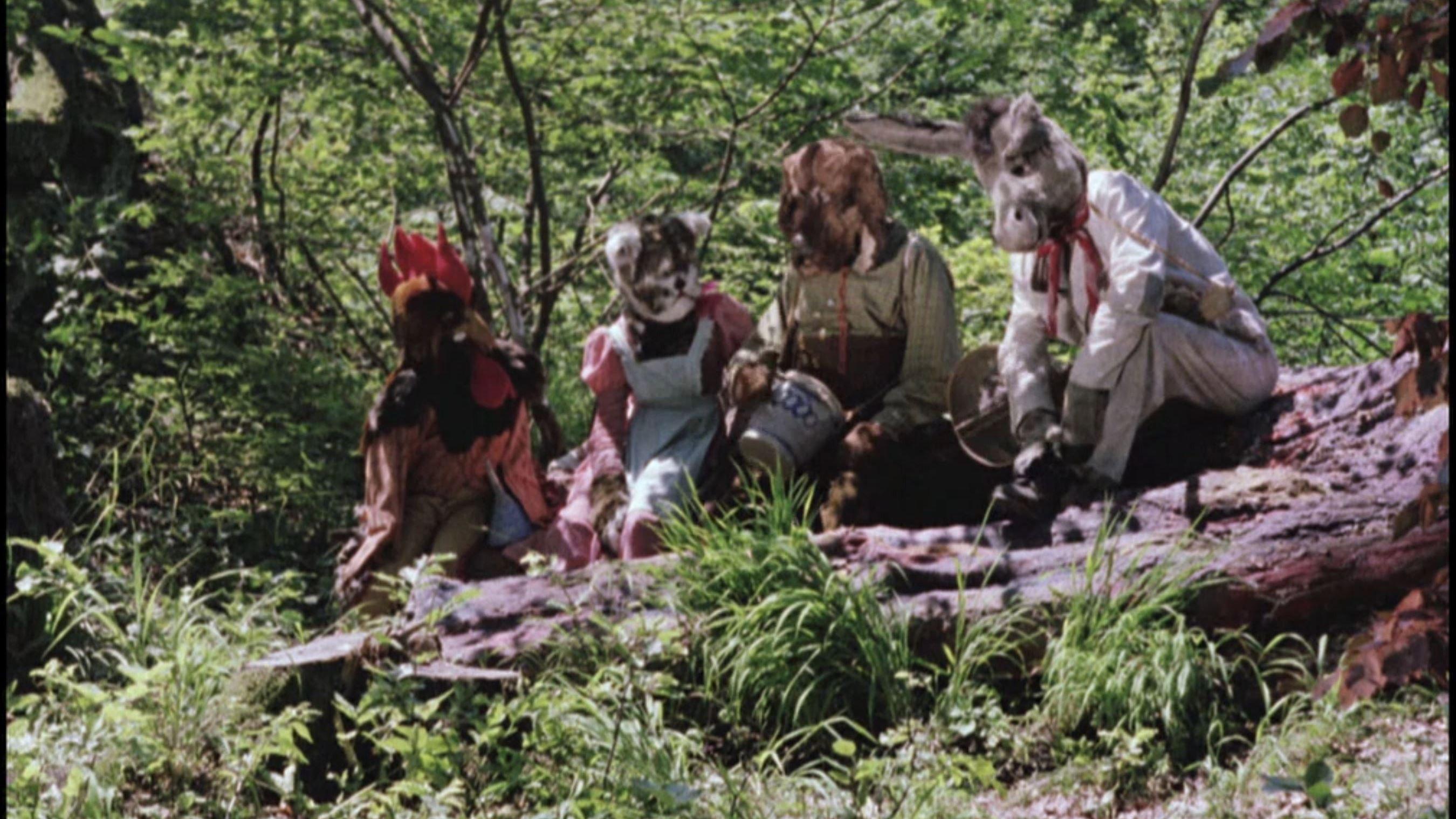 The Town Musicians of Bremen 1959 movie scene