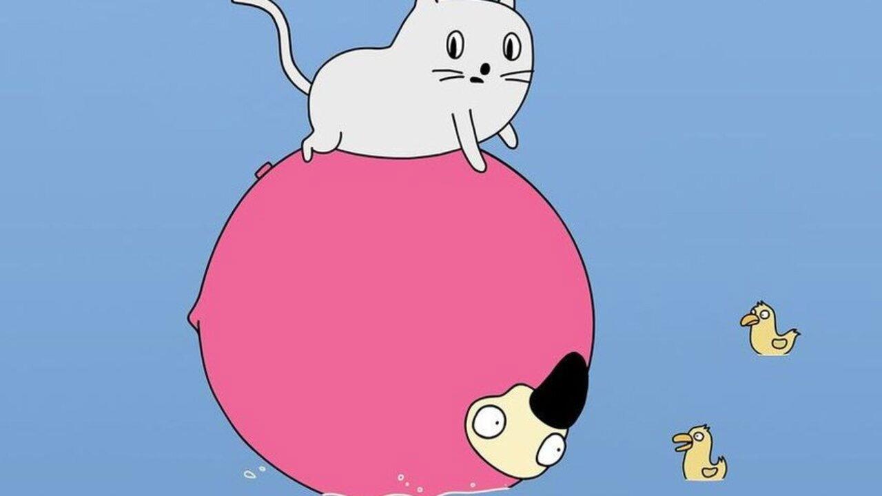 Cat Lake City 2019 movie scene