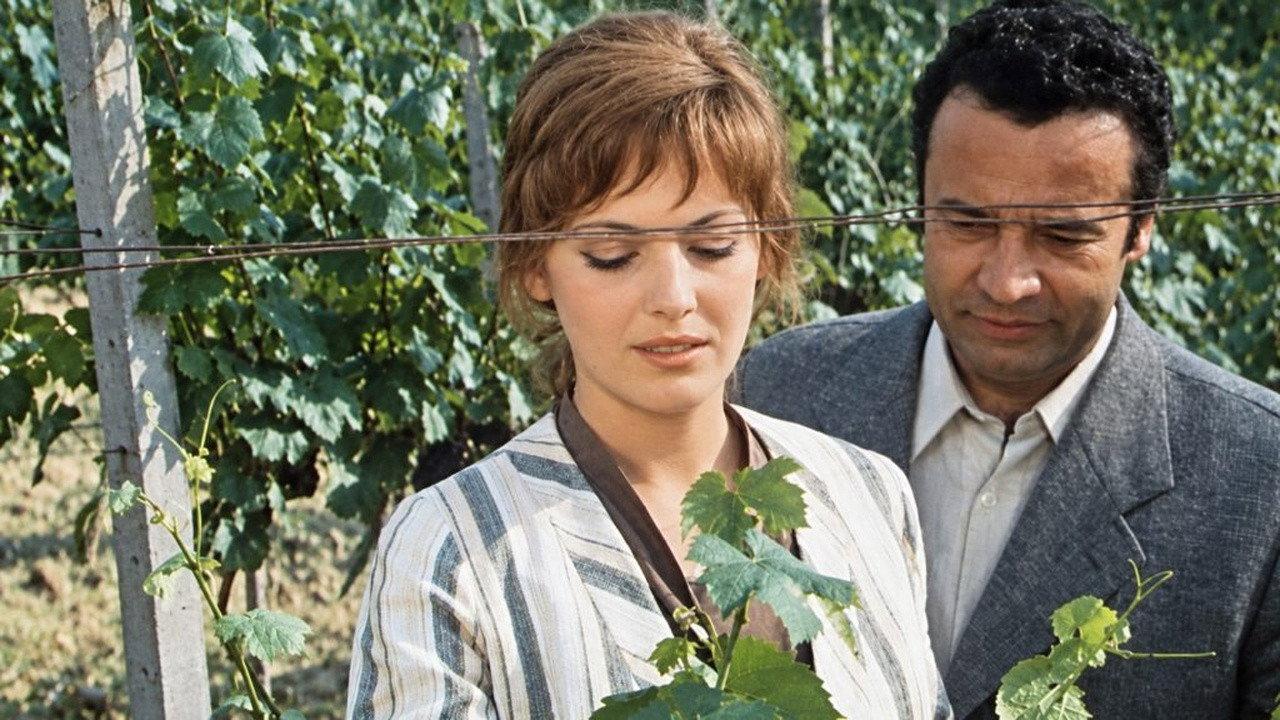Wine Working 1976 movie scene