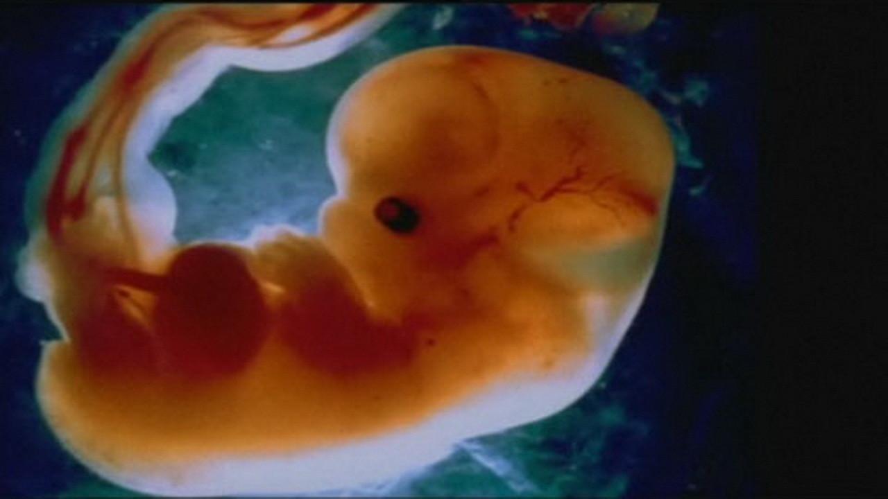 Odyssey of Life 1996 movie scene