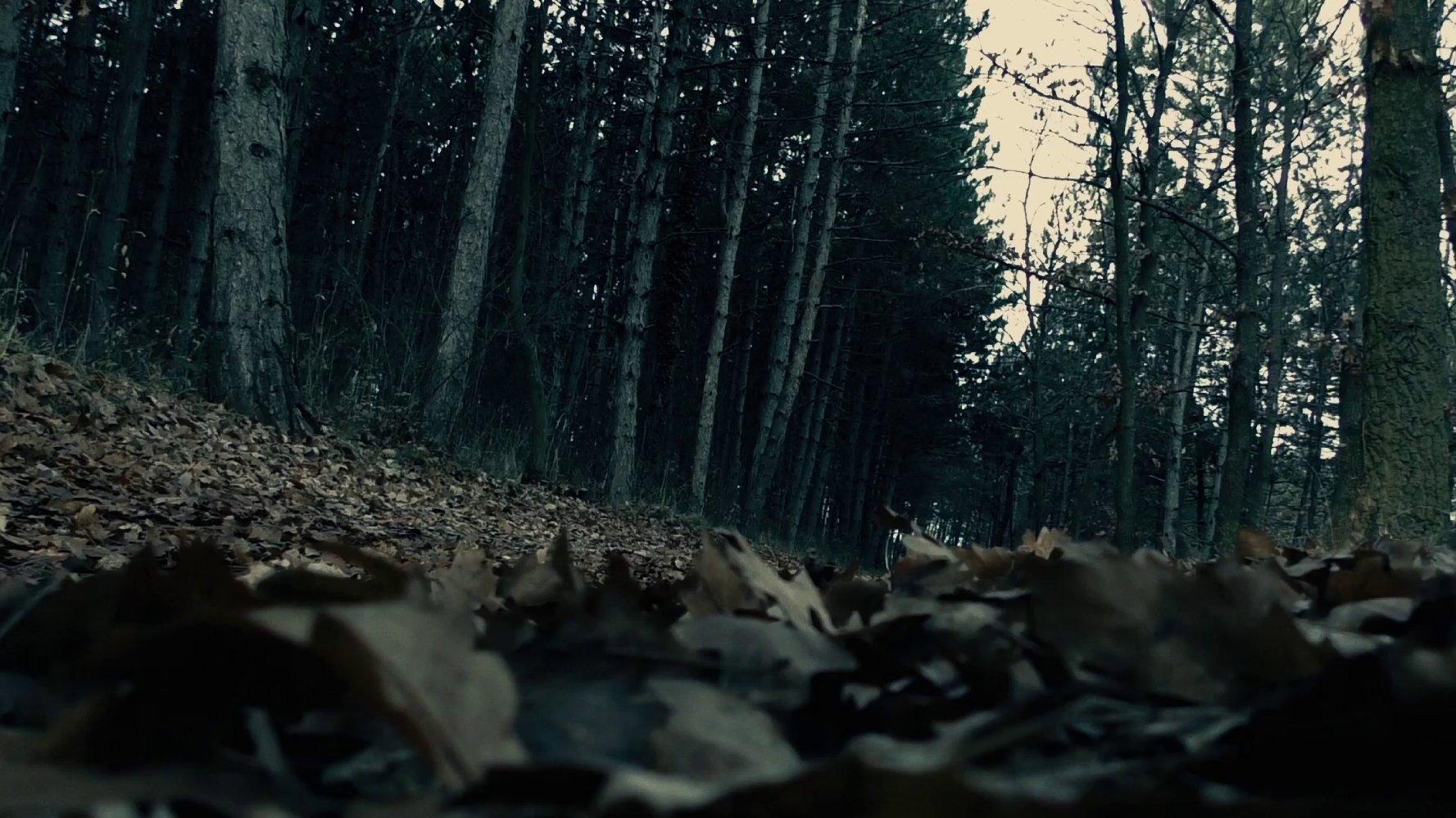 Moth 2016 movie scene