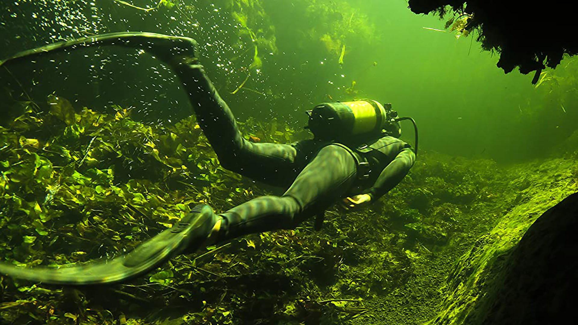 Underwater Okavango 2012 movie scene