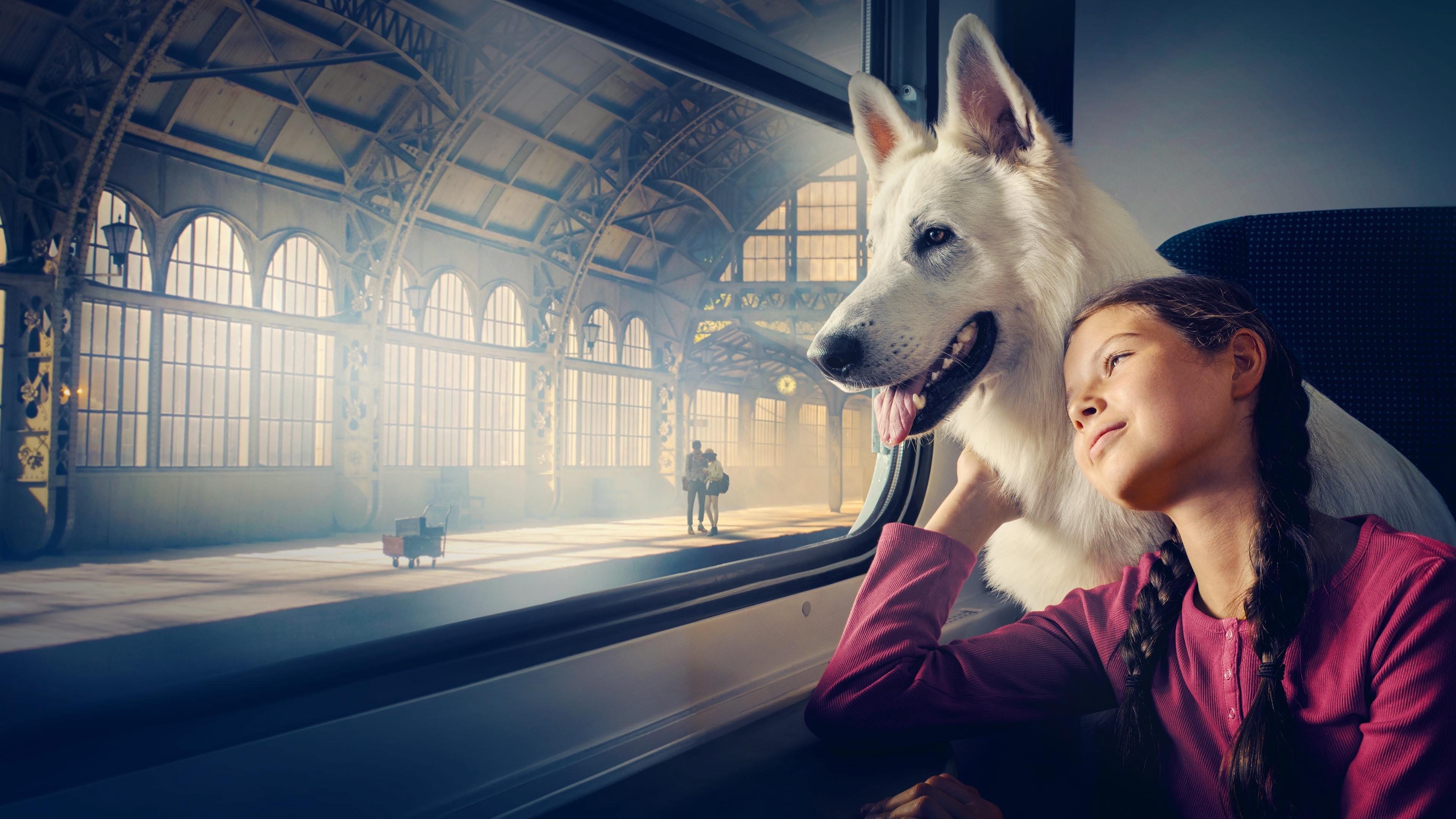 Lampo, the Travelling Dog 2023 movie scene