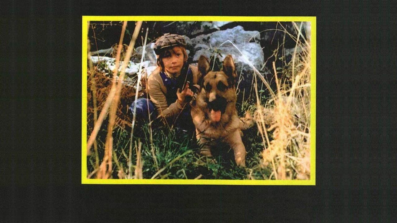 White Fang and the Kid 1978 movie scene