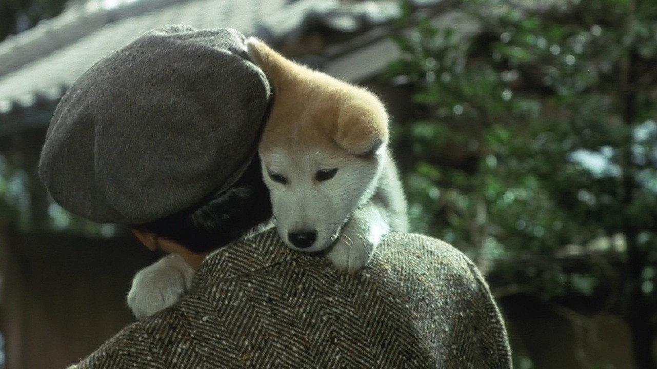 Hachiko 1987 movie scene