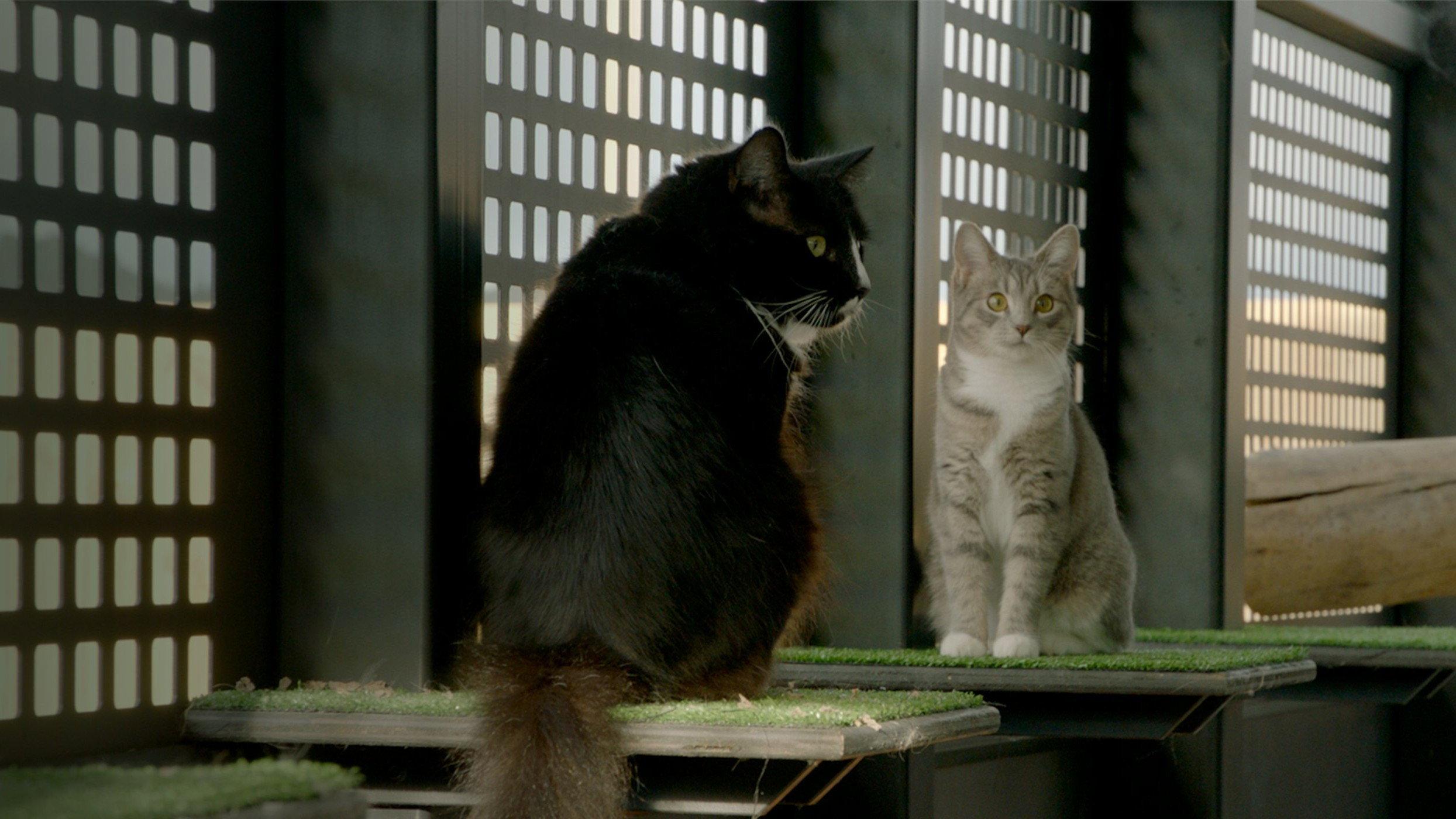 Refuge: A Duty to Care 2024 movie scene