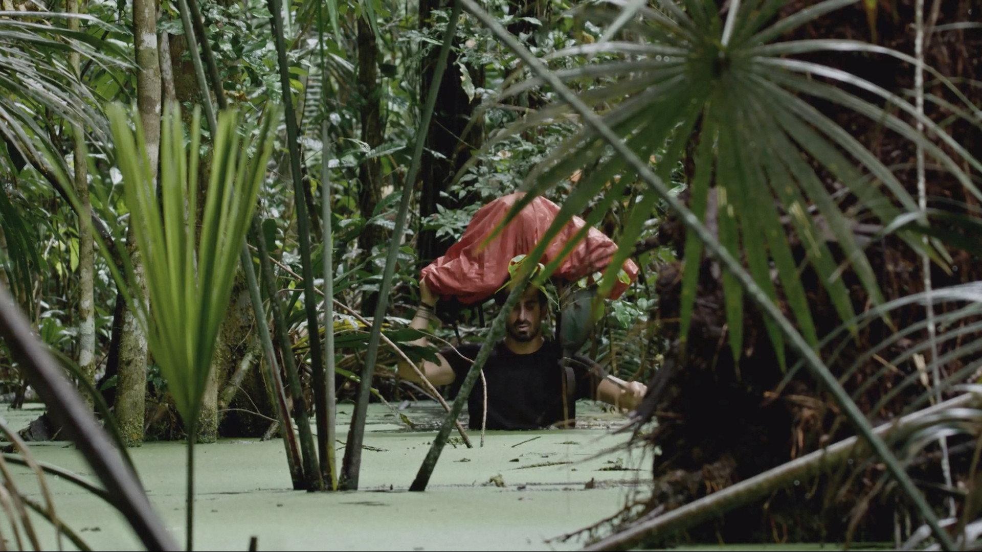 Dark Green 2021 movie scene