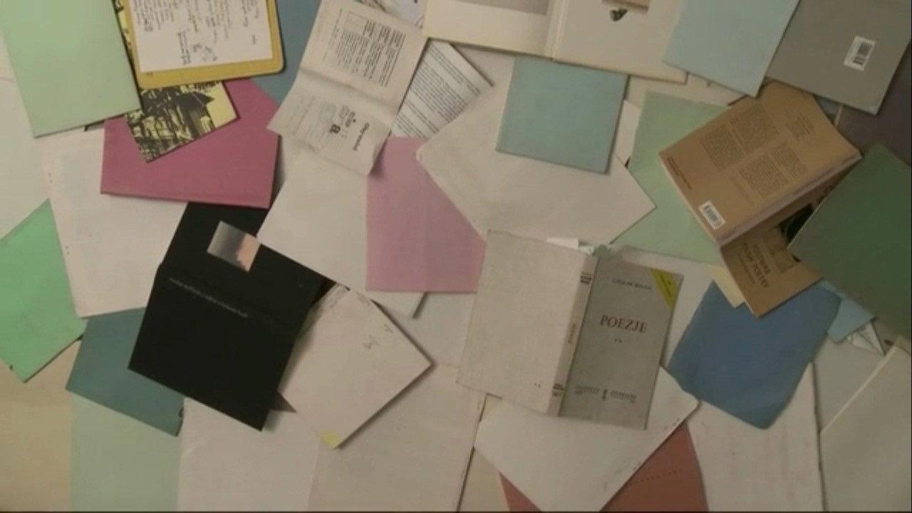 The Polish Language 2009 movie scene