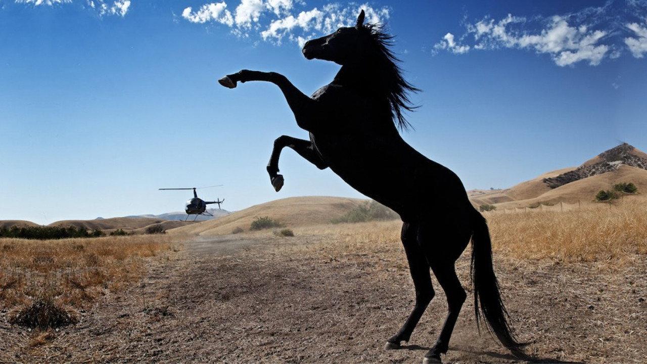 Wild Horses 2013 movie scene