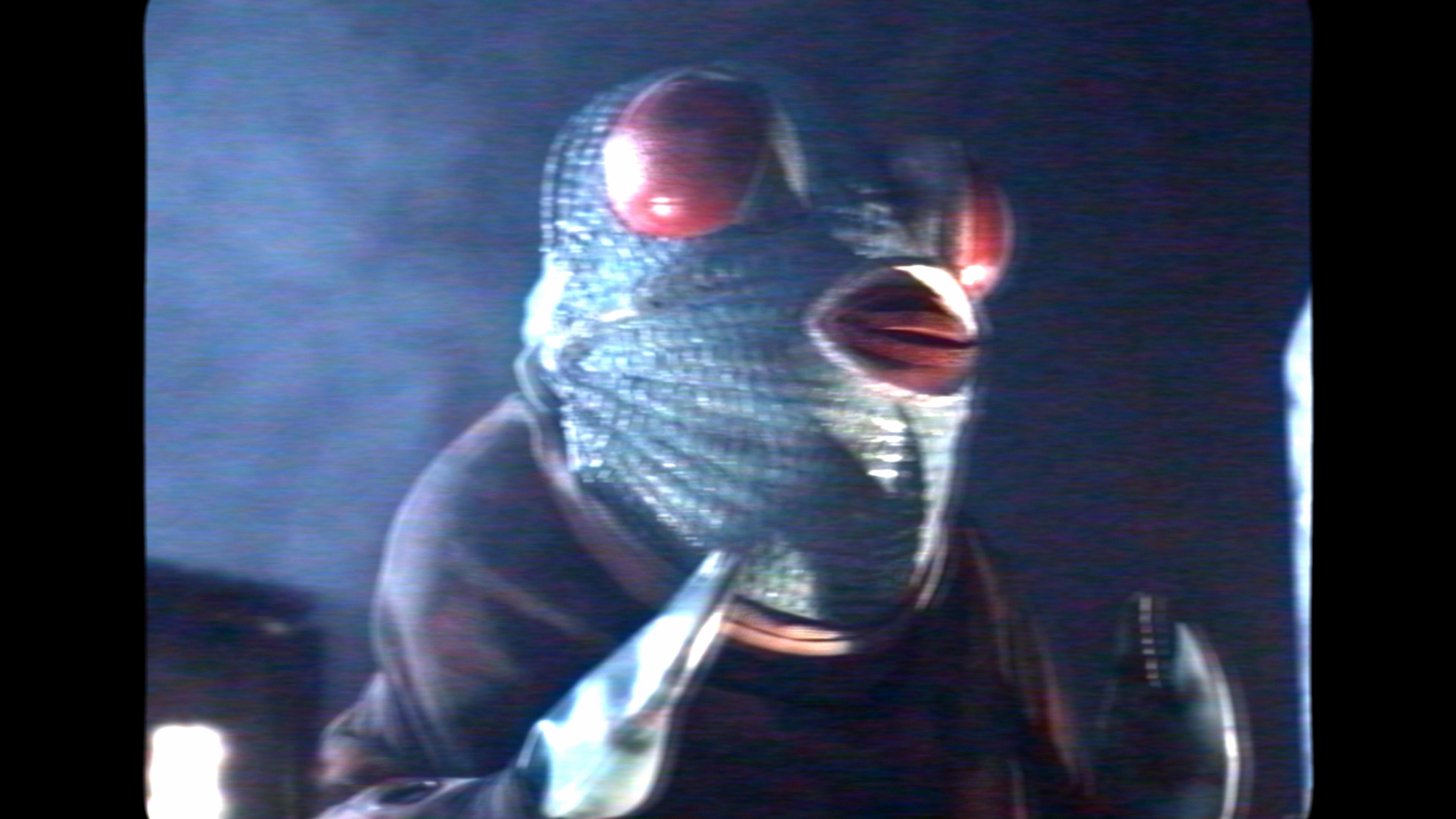 Mr. Yanagi’s Aliens 2024 movie scene