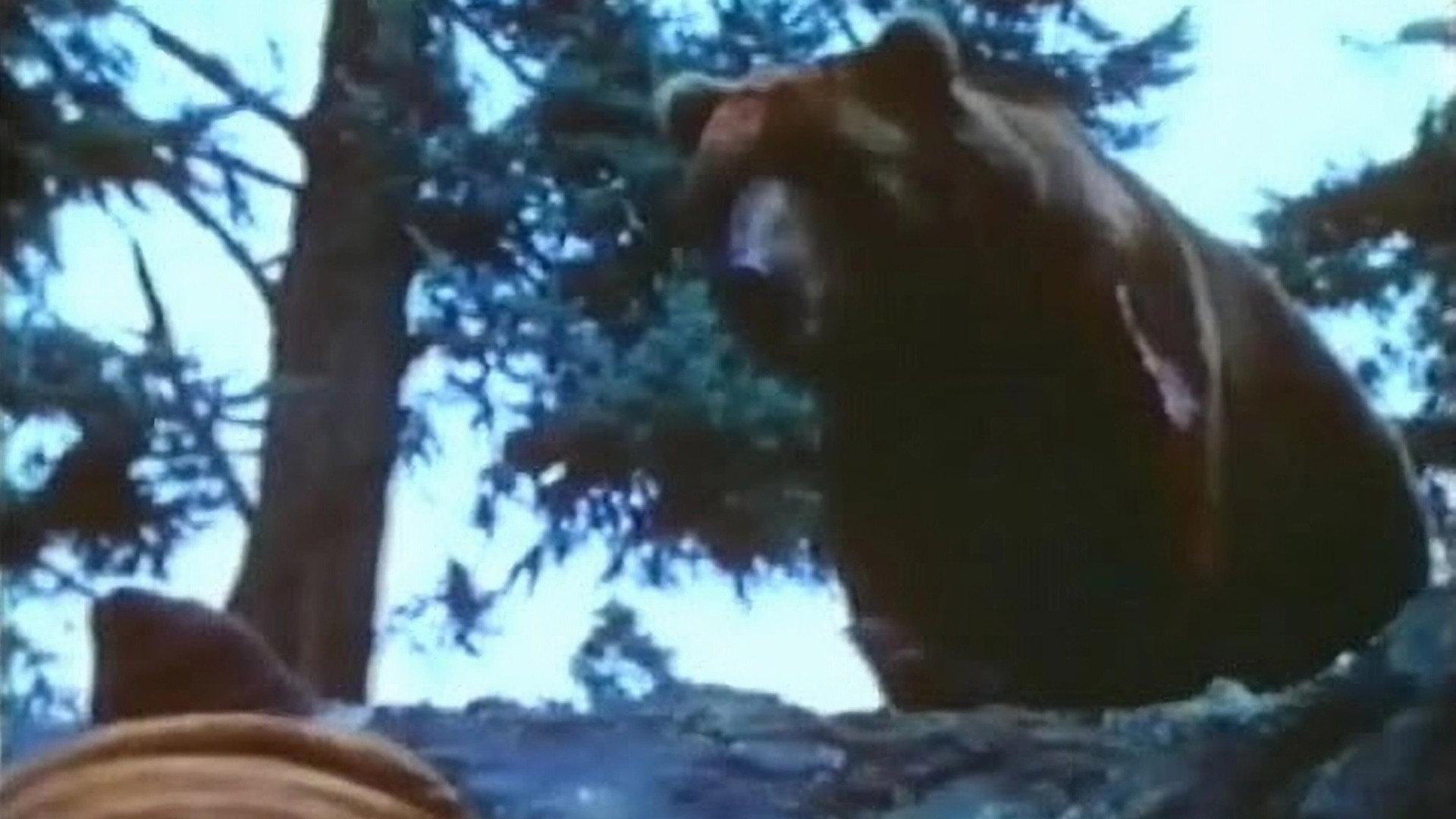 Claws 1977 movie scene