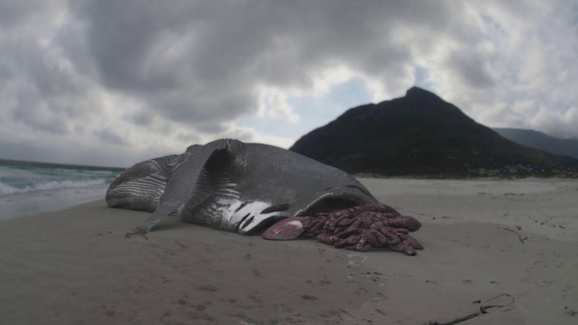 Megalodon: The Monster Shark Lives 2013 movie scene