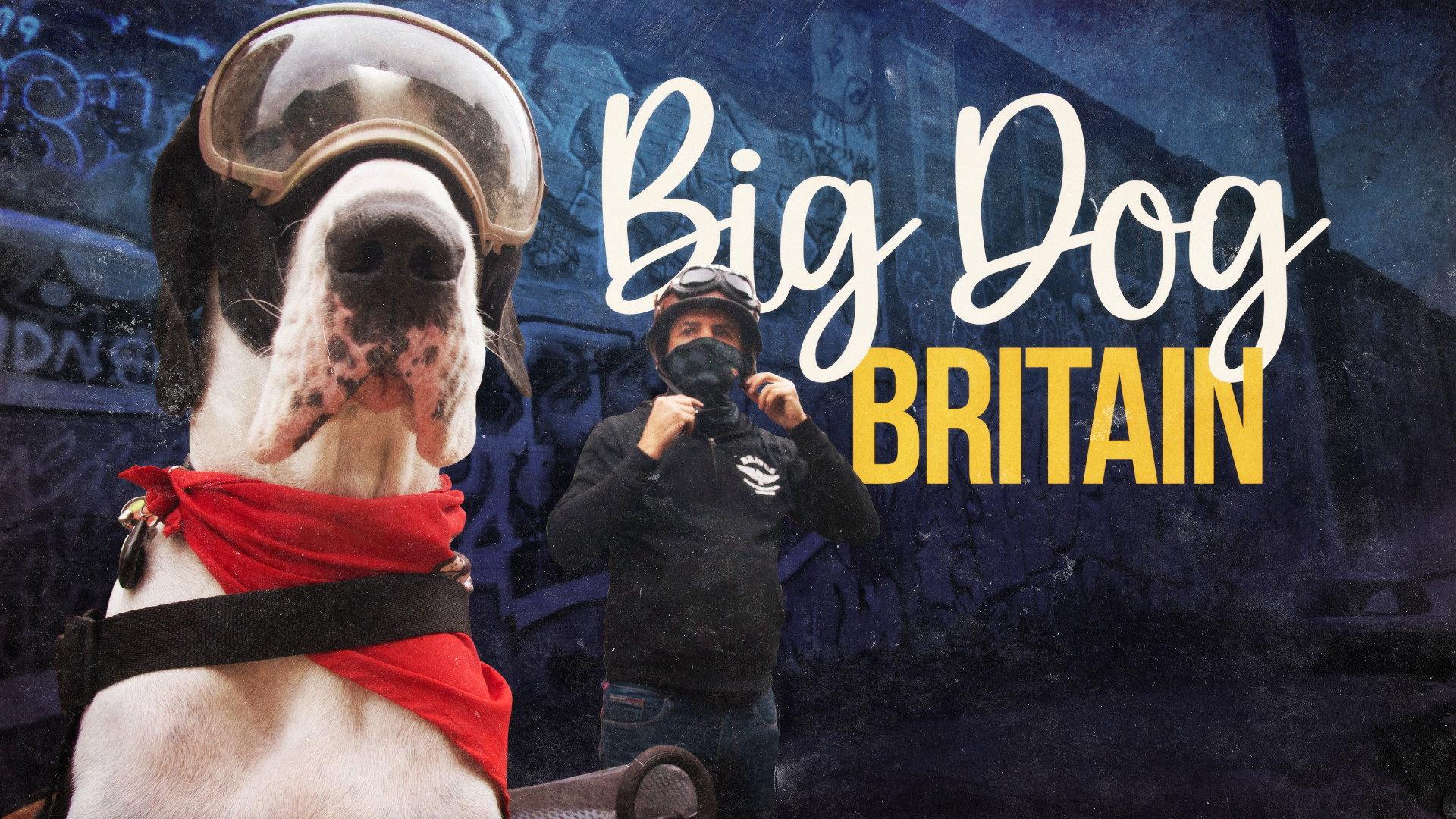 Big Dog Britain 2021 movie scene