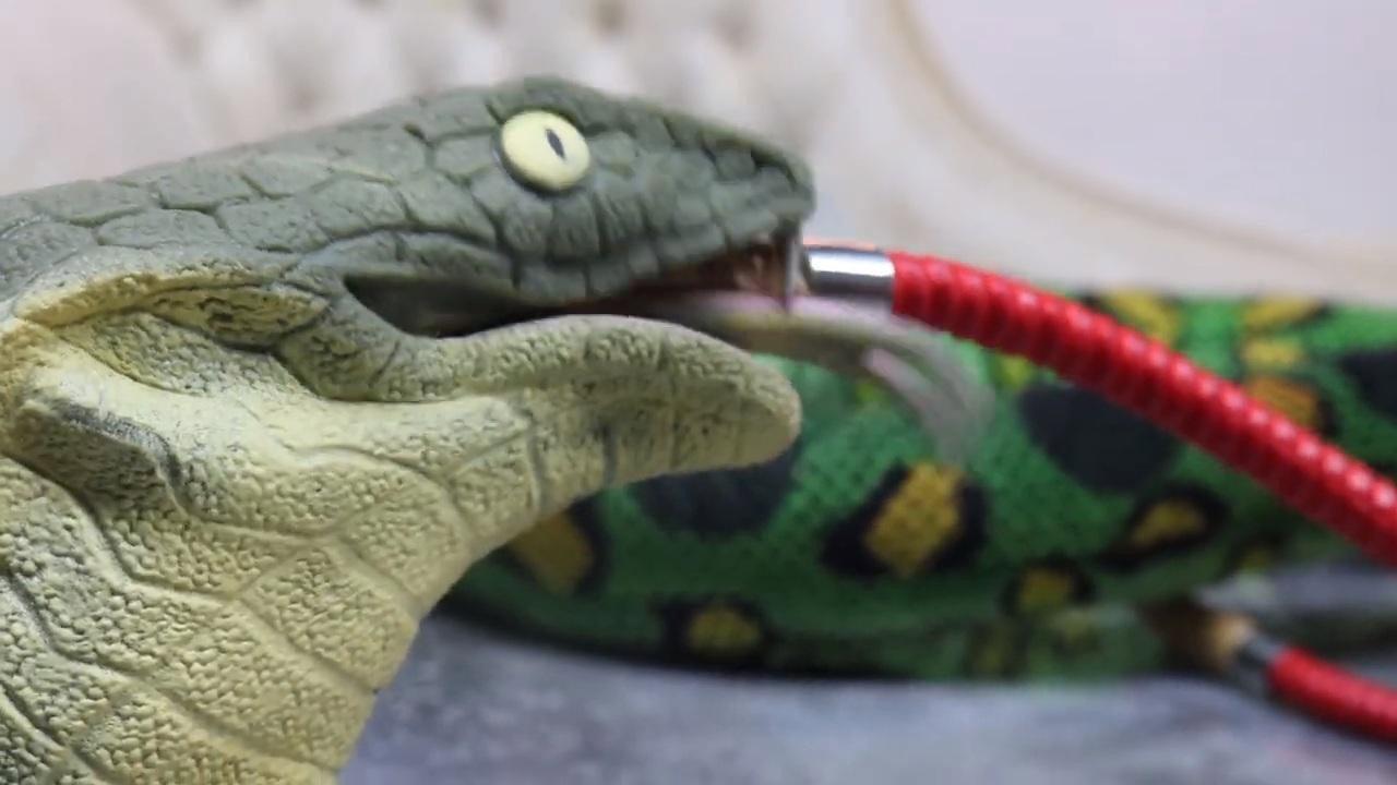 Stoner Snakes 2023 movie scene