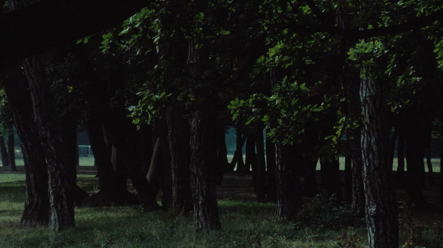 Le Navire Night 1979 movie scene