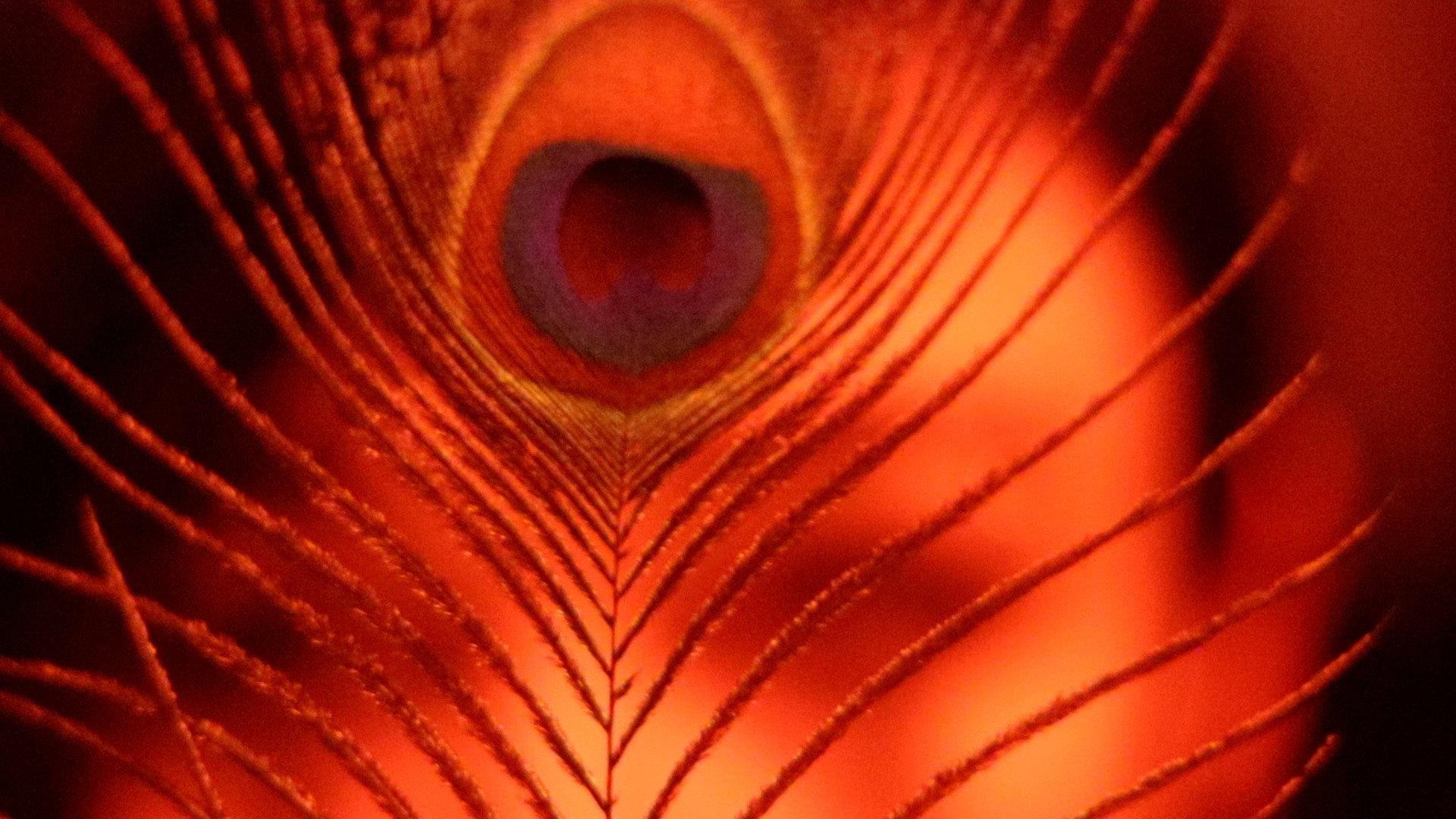 The Inner Demon / The Inner Angel 2022 movie scene
