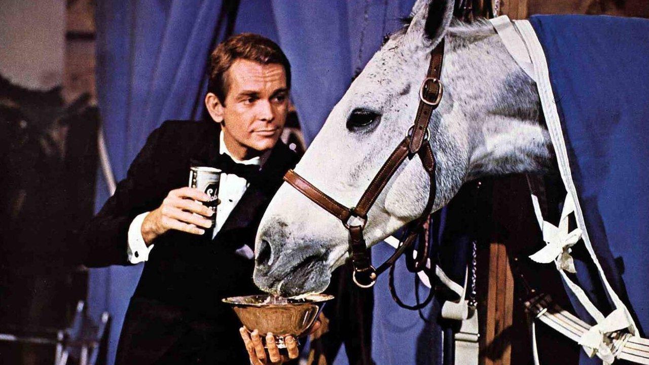 The Horse in the Gray Flannel Suit 1968 movie scene