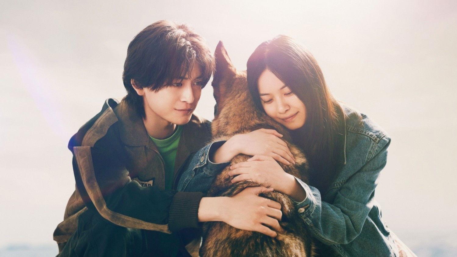 The Boy and the Dog 2025 movie scene