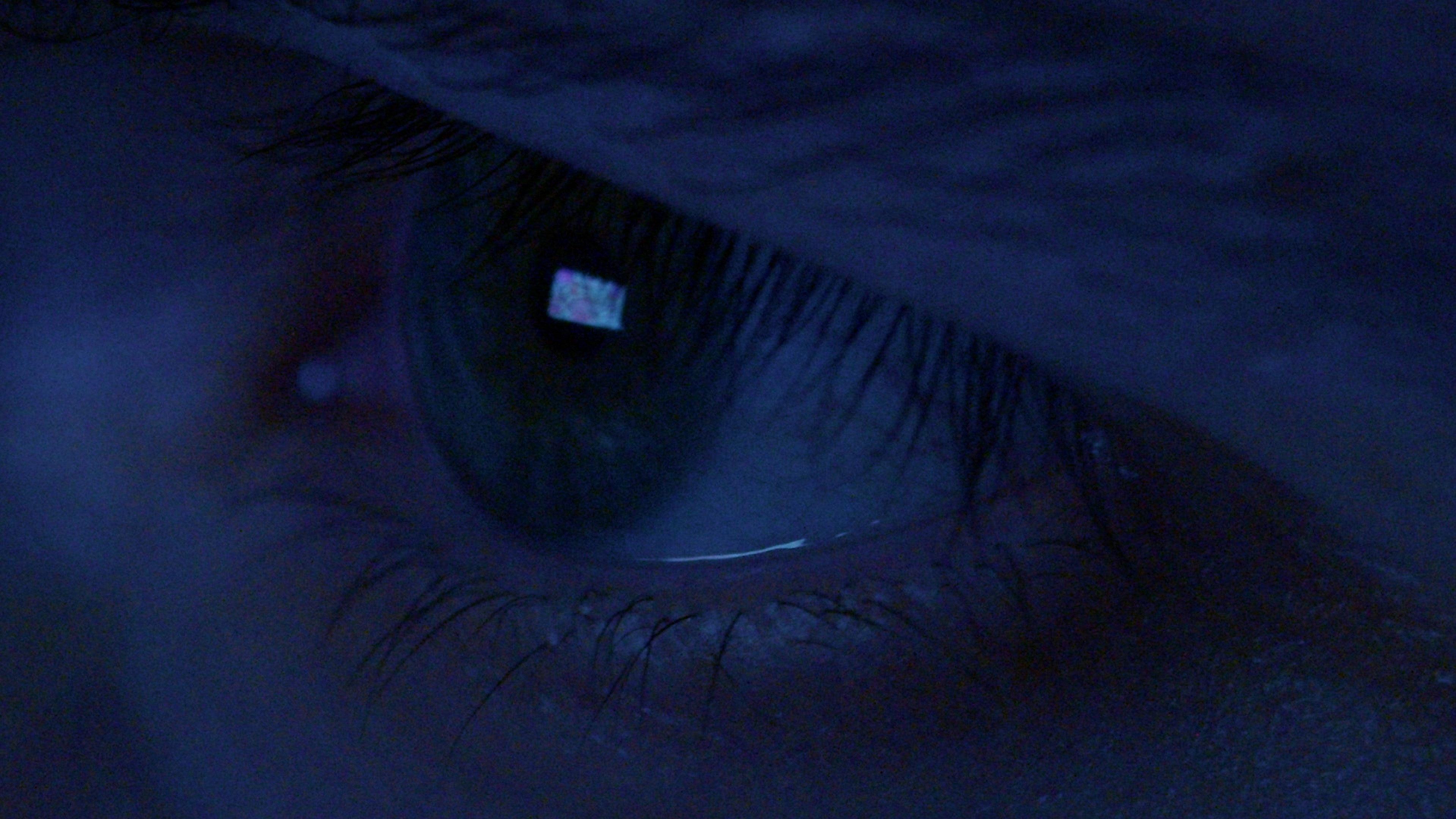 Portal Ended Dreams 2026 movie scene