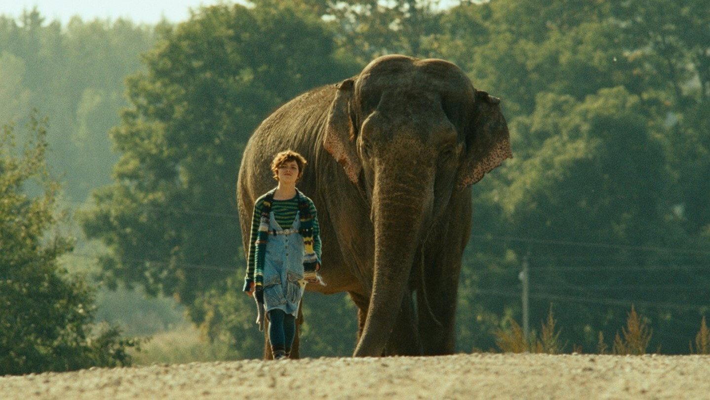 Elephant 2010 movie scene