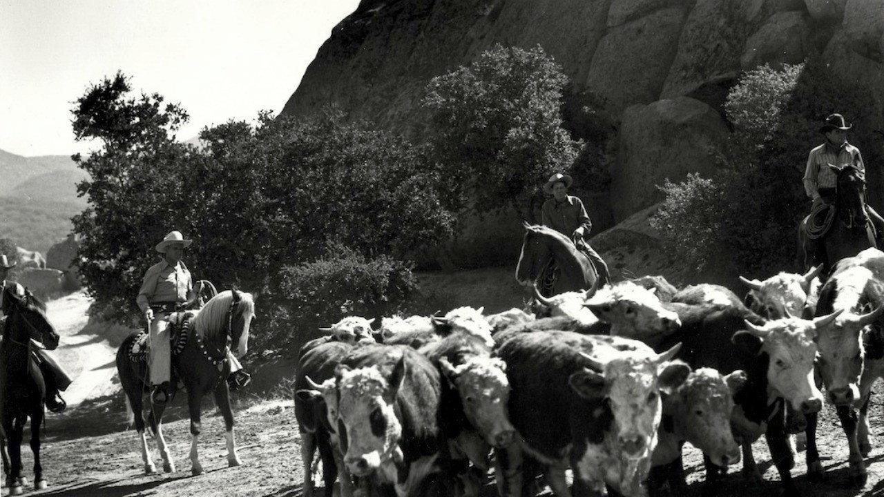 Riders in the Sky 1949 movie scene