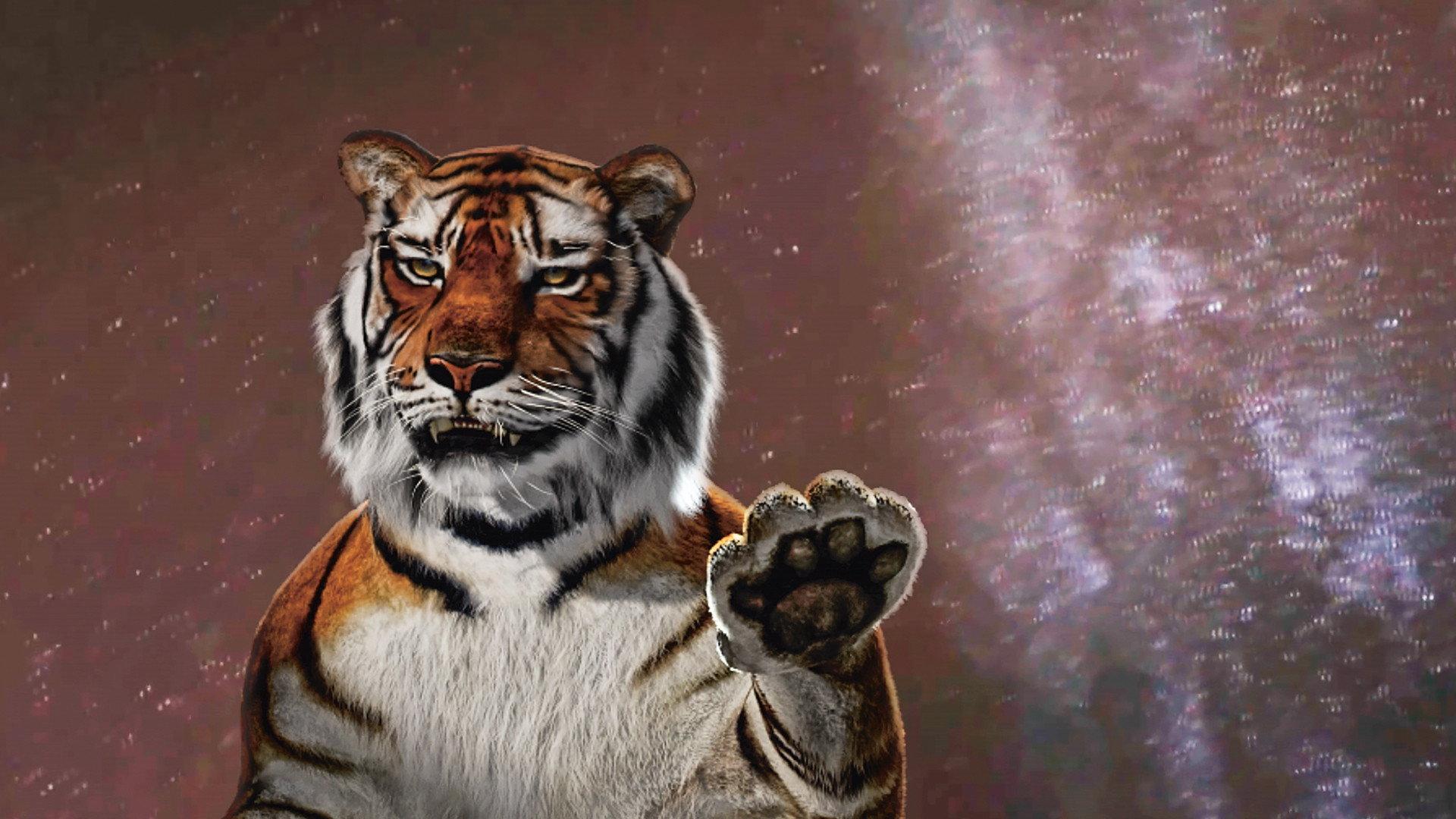 One or Several Tigers 2017 movie scene