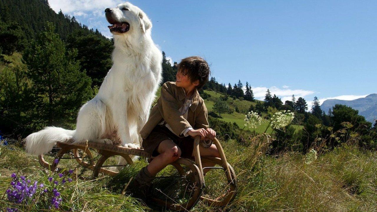 Belle and Sebastian: The Adventure Continues 2015 movie scene
