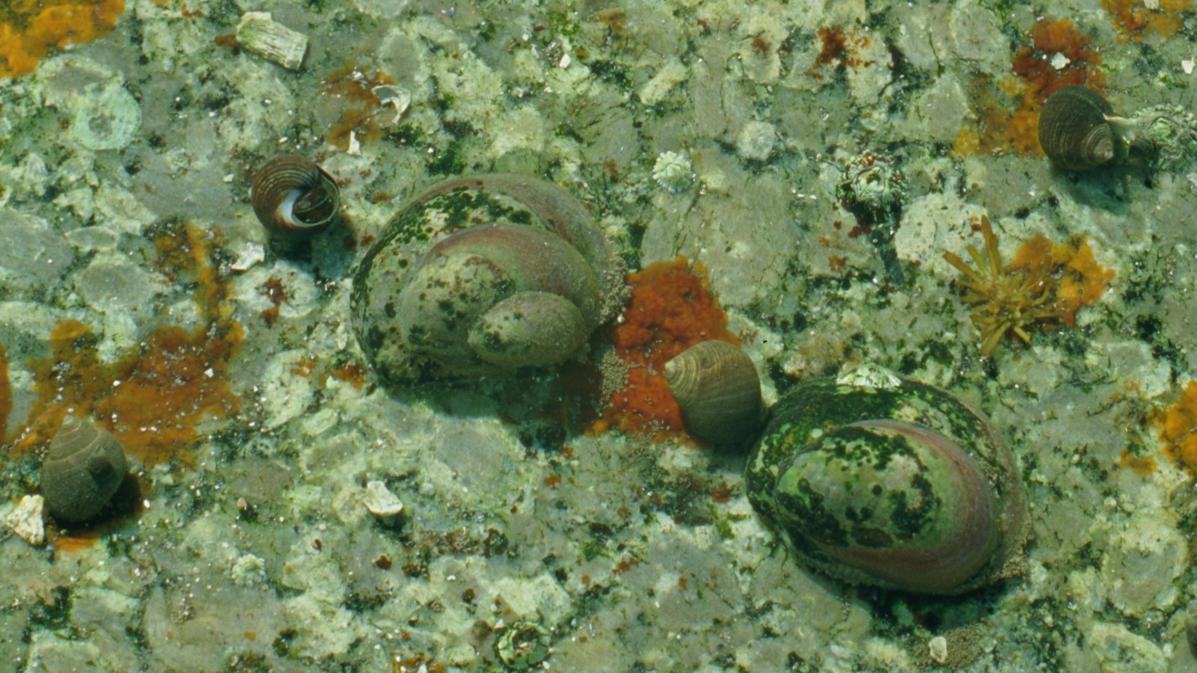 Tide Pools 2023 movie scene