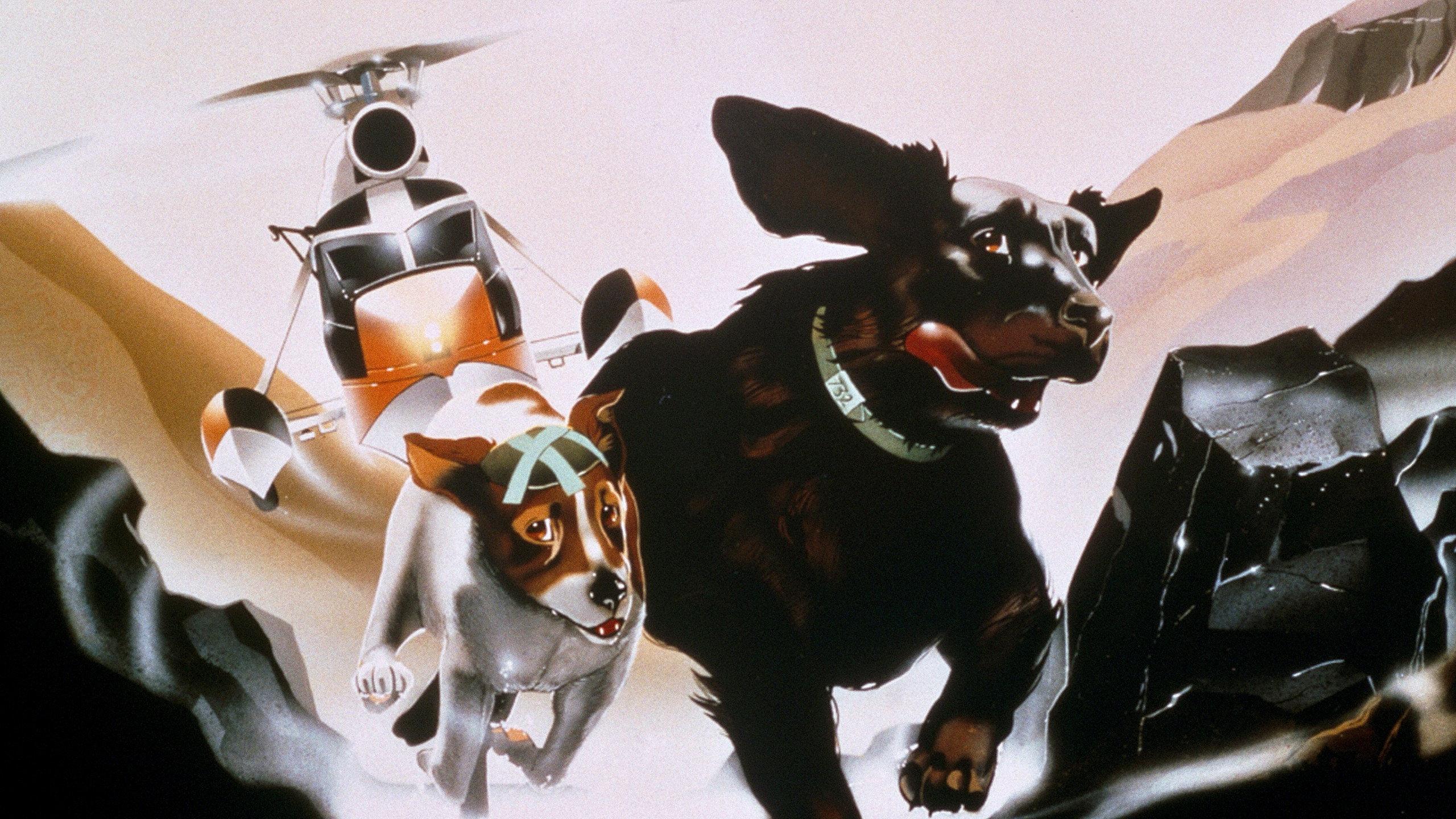 The Plague Dogs 1982 movie scene