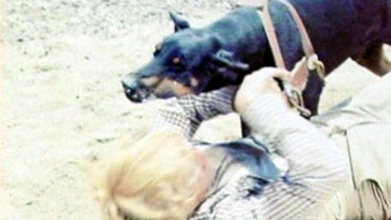Mean Dog Blues 1978 movie scene