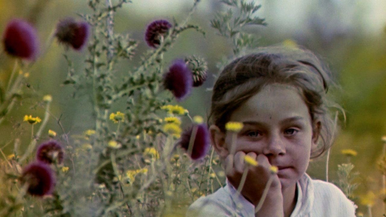May Dandelion Snow 1972 movie scene