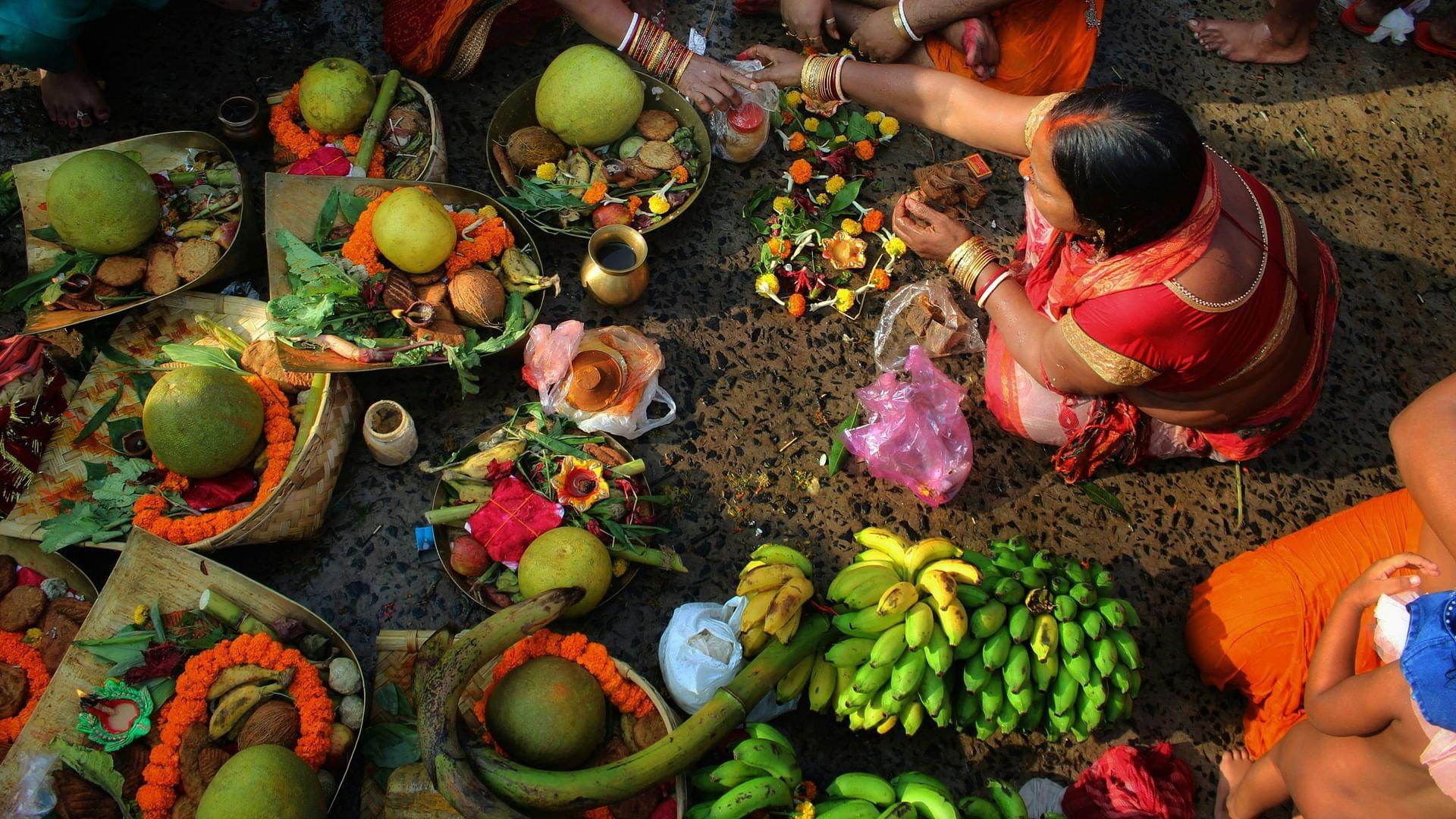 Vegetarians, The Great Odyssey 2025 movie scene