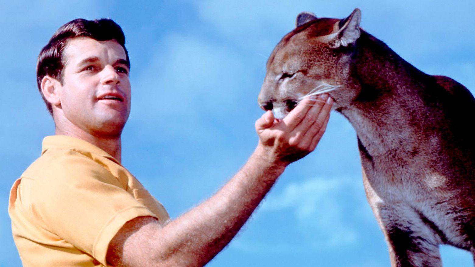 Charlie, the Lonesome Cougar 1967 movie scene