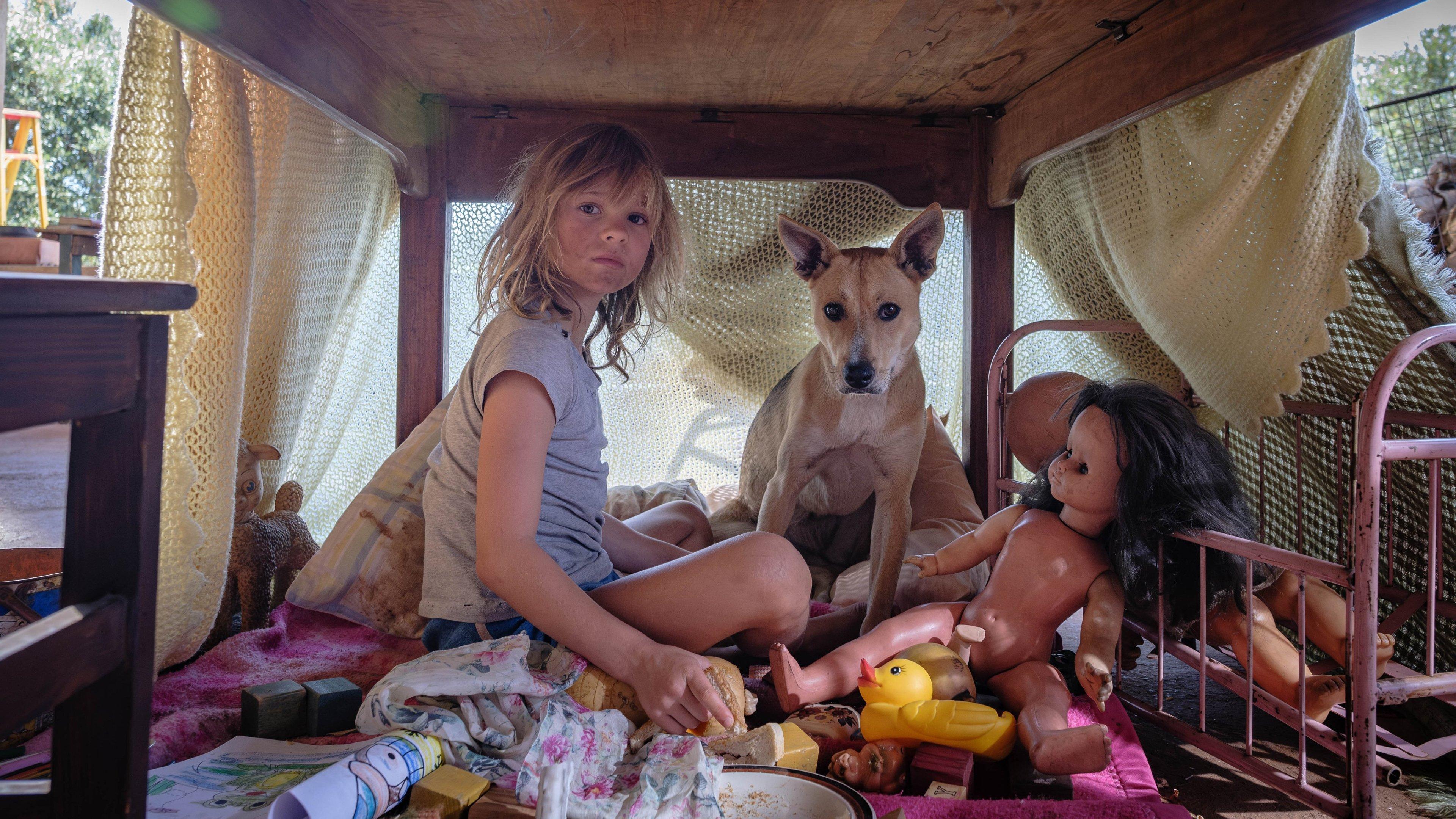 Don't Let's Go to the Dogs Tonight 2025 movie scene