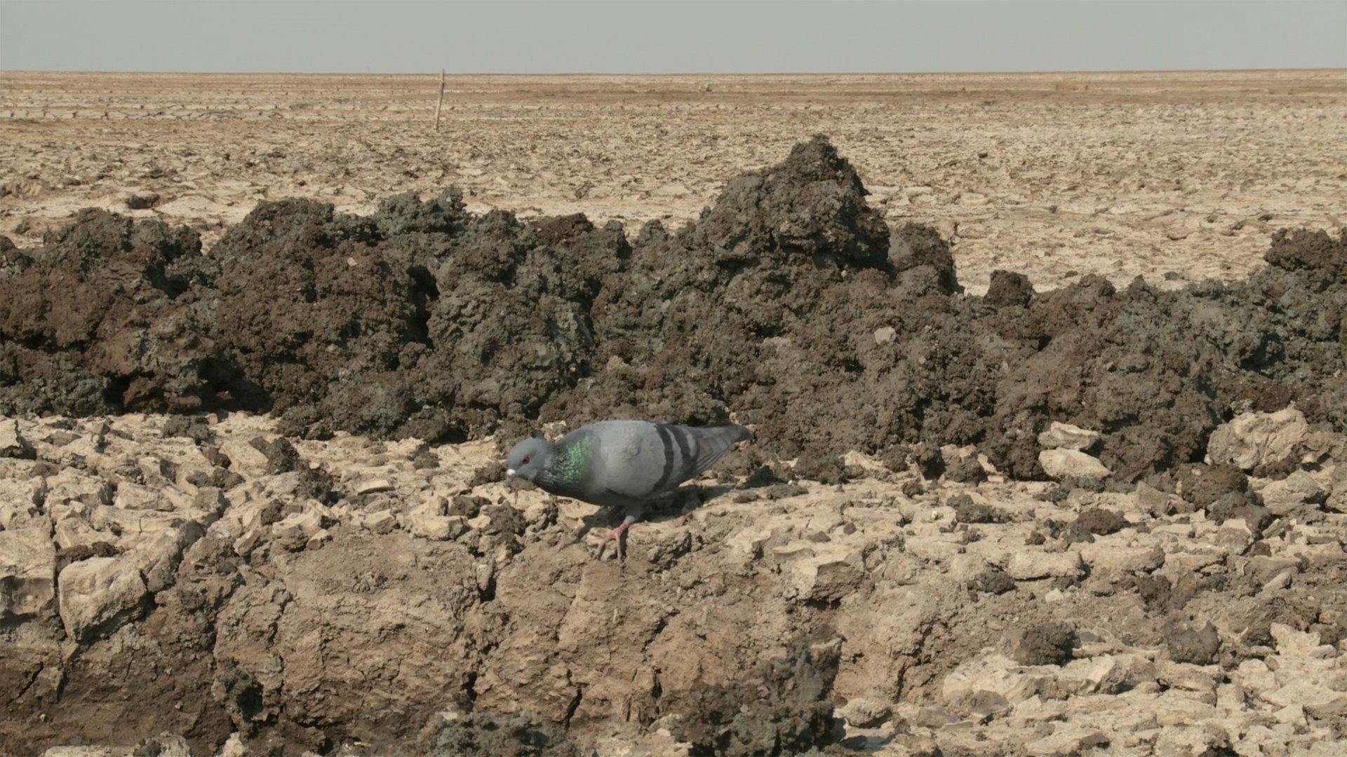 My Name Is Salt 2013 movie scene