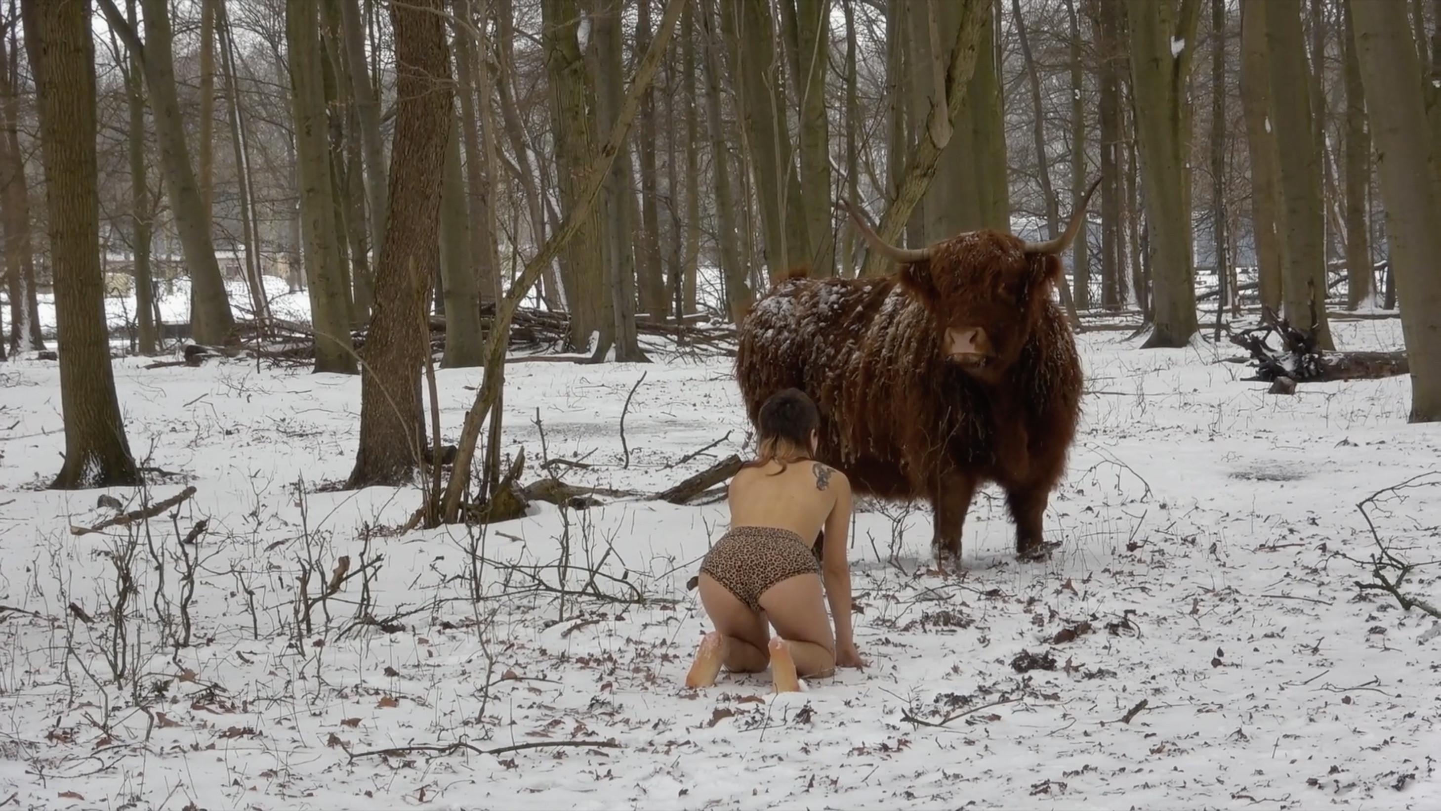Missing Link 2021 movie scene