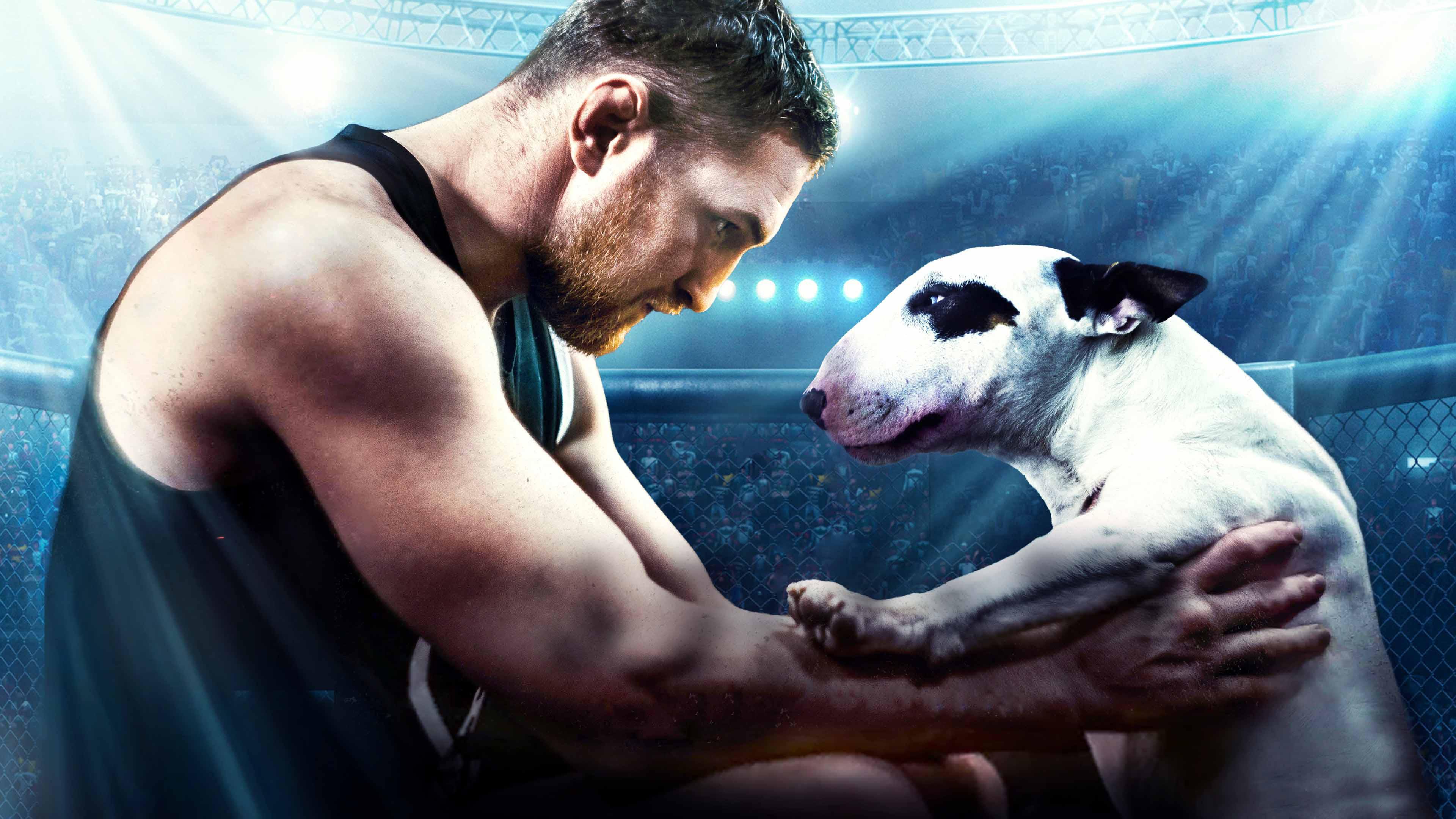 Bullterrier 2022 movie scene