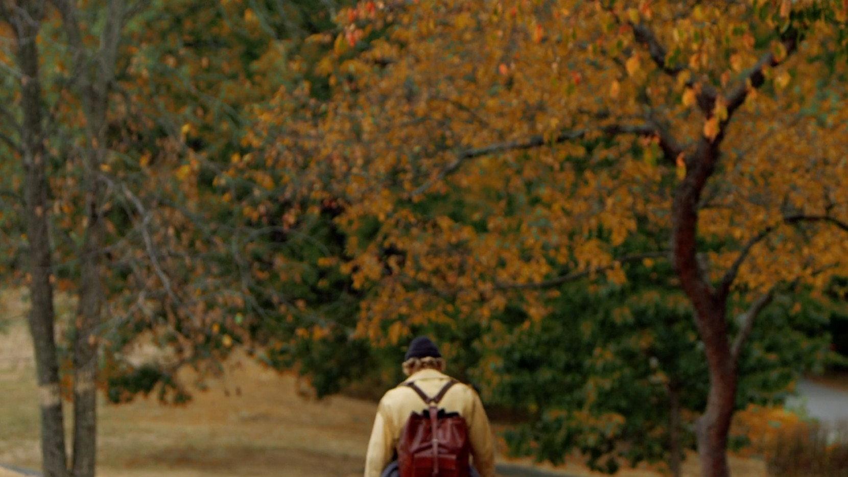 The Forest 2019 movie scene