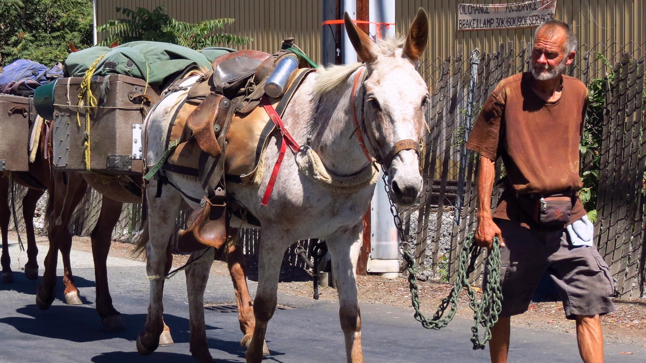 Call Me Mule 2023 movie scene