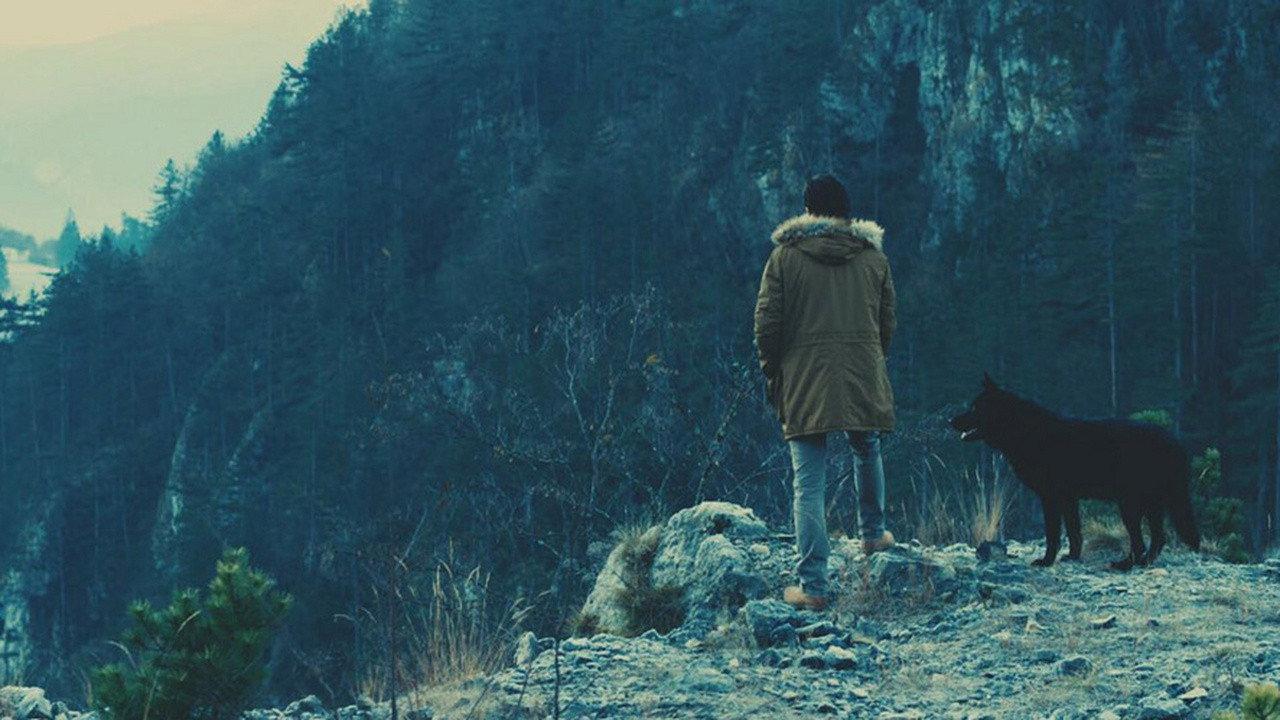 Dogs Die Alone 2019 movie scene