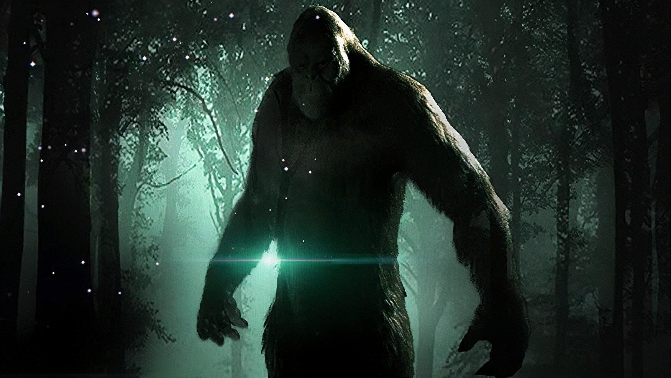 The Bigfoot Alien Connection Revealed 2020 movie scene