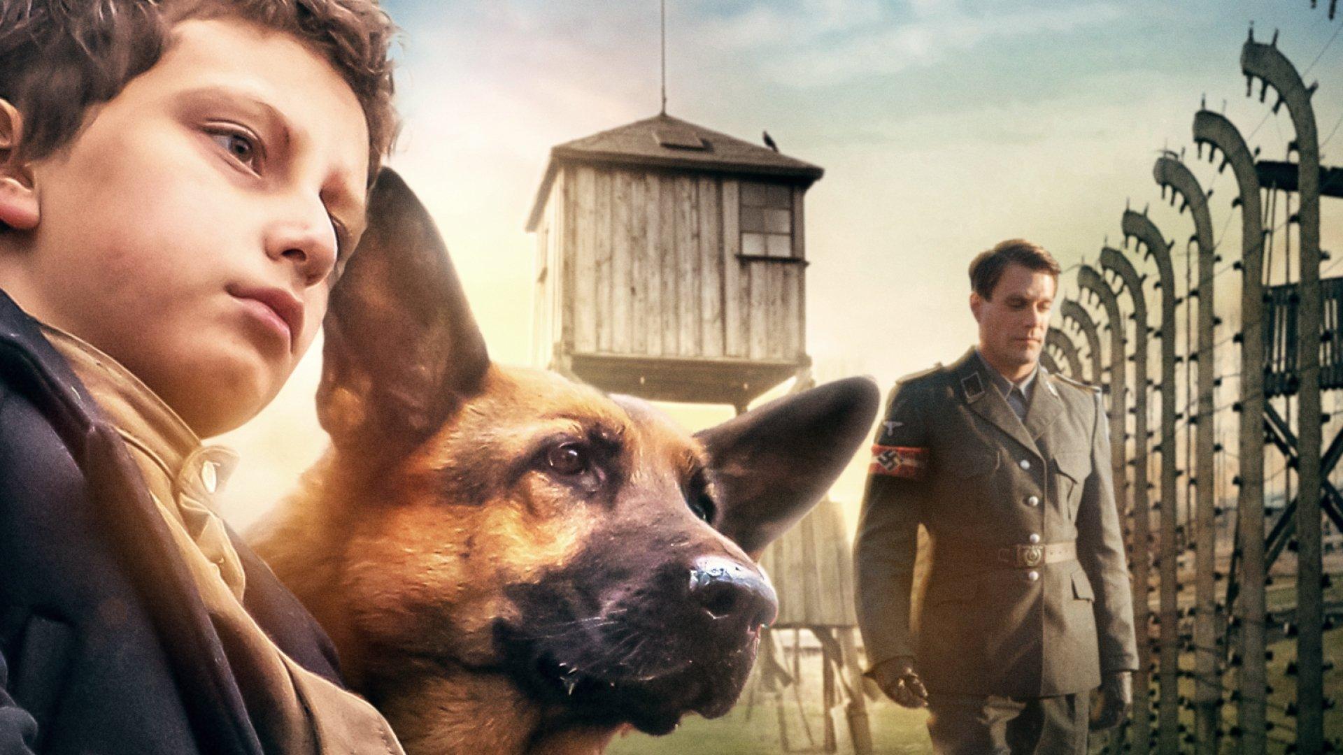 Shepherd: The Story of a Jewish Dog 2020 movie scene