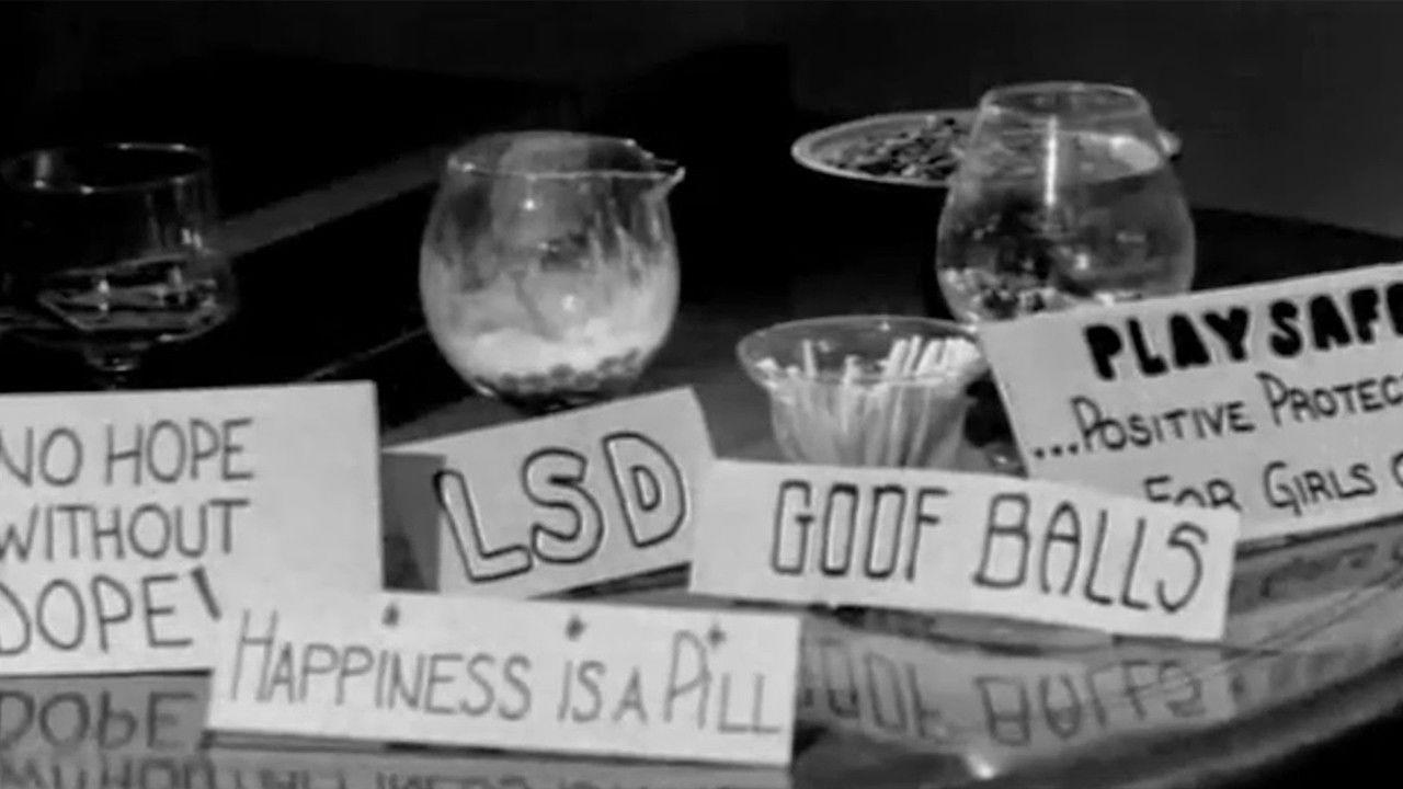College Girls 1968 movie scene