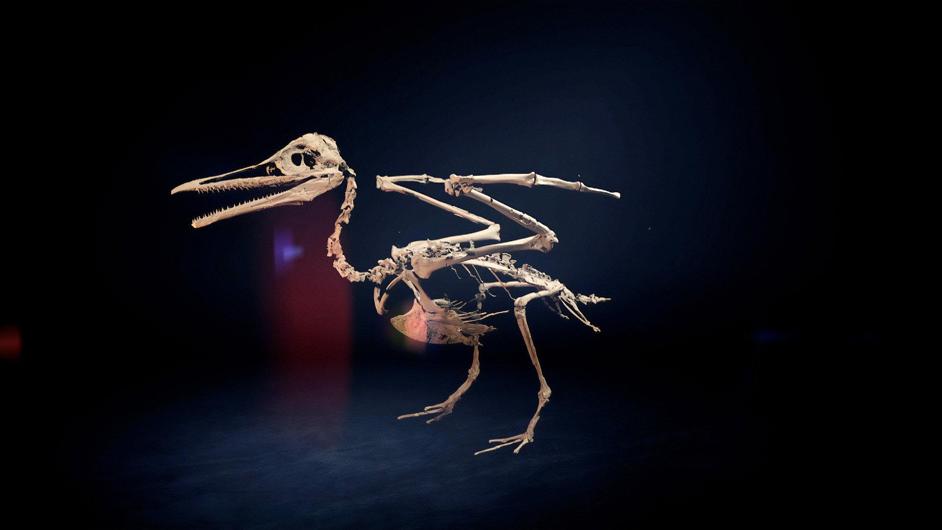 Dino Birds 2025 movie scene