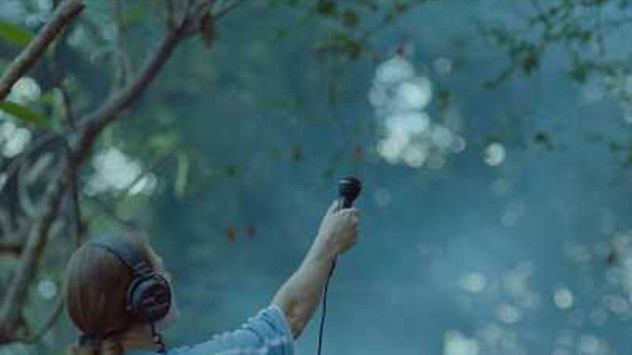 Hilda Hilst Pede Contato 2018 movie scene