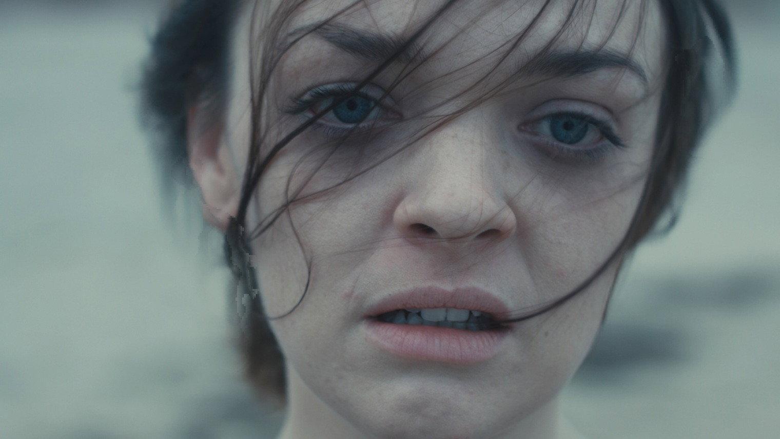 Windblown 2019 movie scene