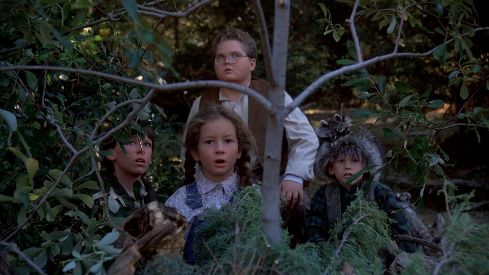 The Giant of Thunder Mountain 1990 movie scene