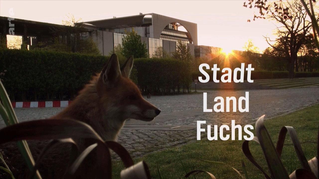 Stadt, Land, Fuchs! 2019 movie scene
